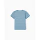 Zippy Παιδικό μπλουζάκι κοντομάνικο Ανανάς Μπλε | Μπλουζάκια - Πουλόβερ στο Fatsules