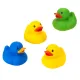 Παιχνίδι μπάνιου πολύχρωμα παπάκια Infantino Duck House | Παιδικά παιχνίδια στο Fatsules